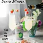 Mimosa de Guayaba Facil (Easy Guava Mimosa)