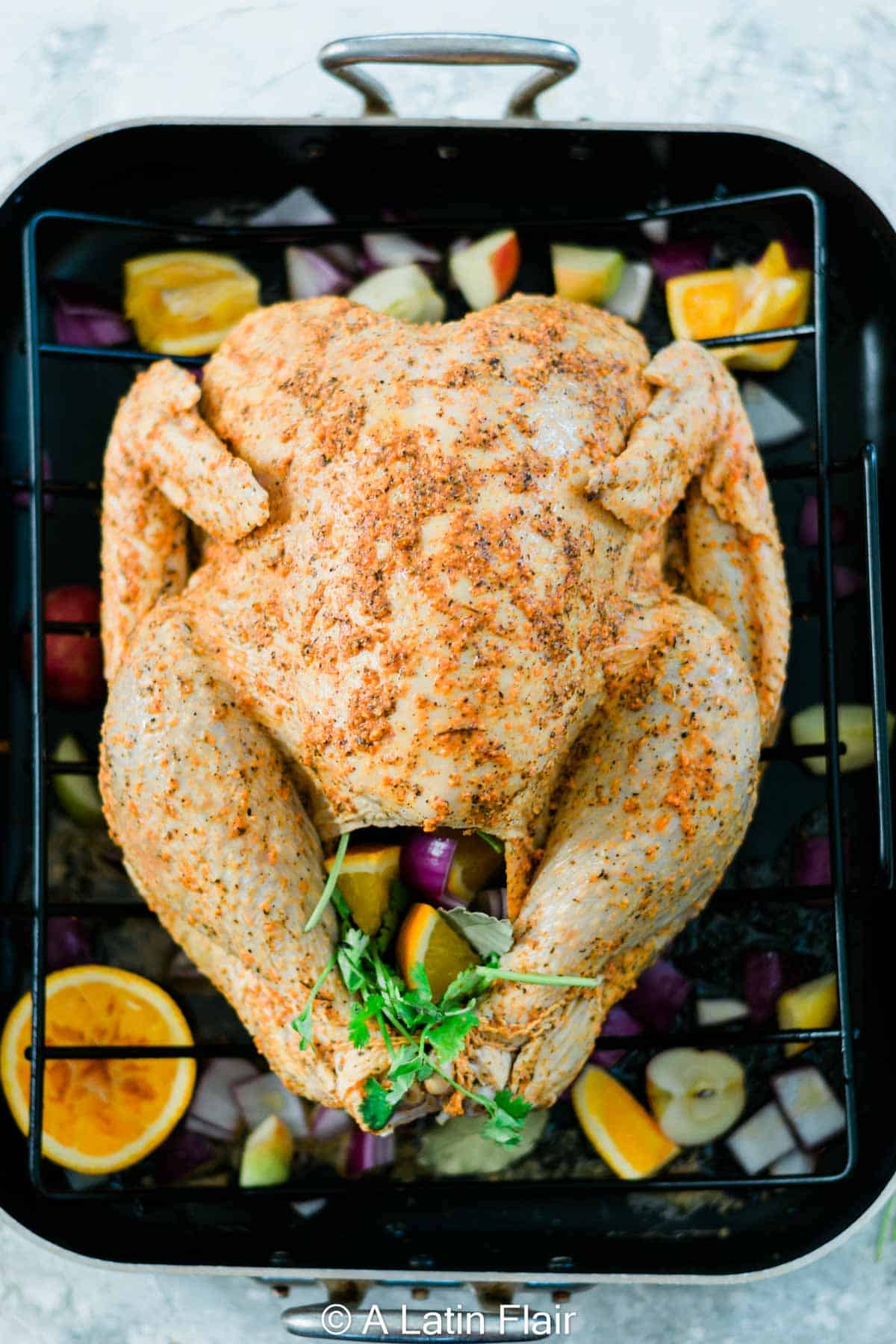 marinated-raw-turkey-in-roasting-pan-turkey-for-Puerto-Rican-Turkey-Pavochón-recipe-14