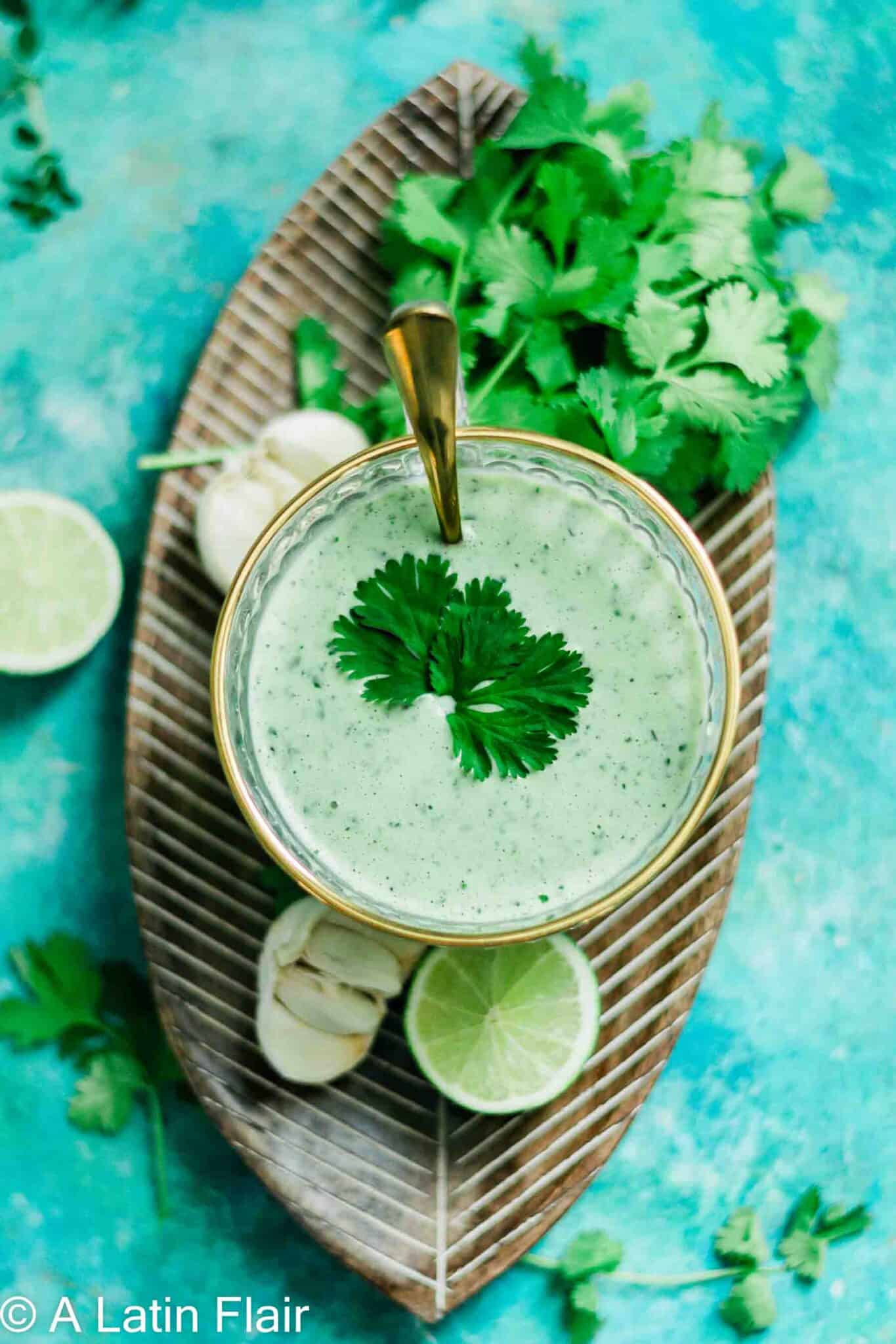 Spicy Cilantro Garlic Sauce Recipe (Salsa de Ajo) | A Latin Flair
