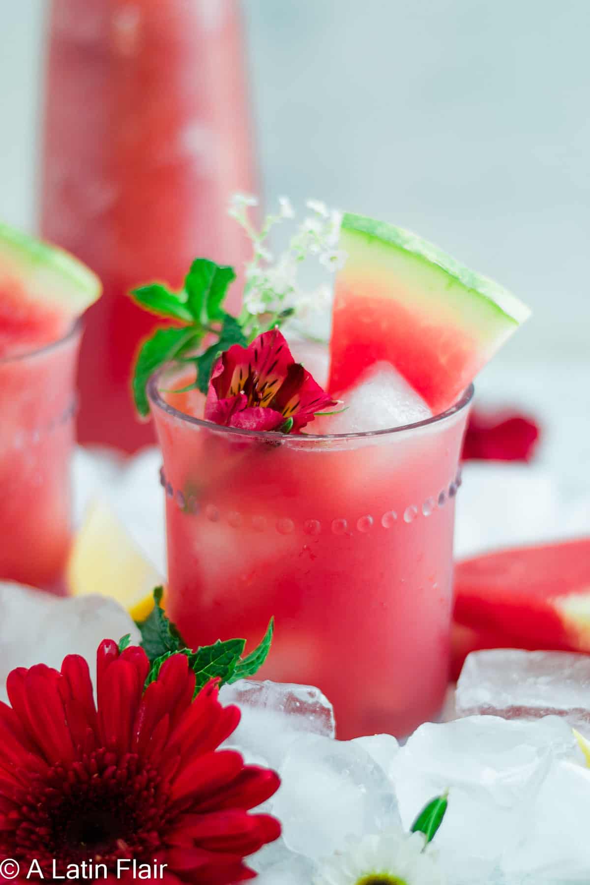 Watermelon Agua Fresca Drink
